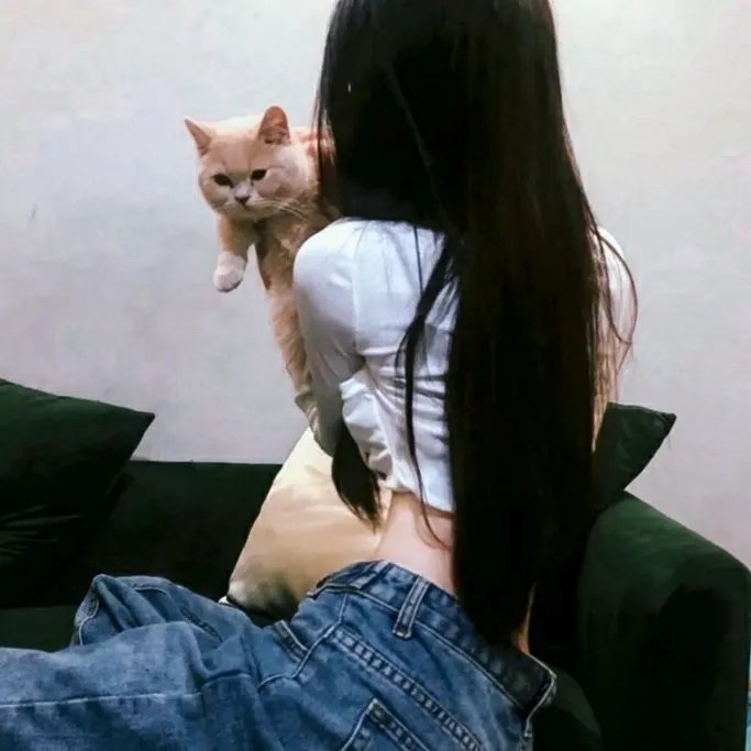 使徒行者粤语