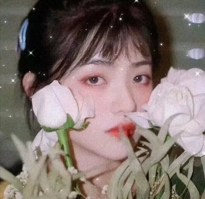 蒲公英的灰尘